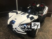 Toyland Багги фото