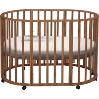 Daka baby Genesis Gallileo