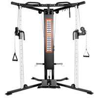 DFC Powergym D956