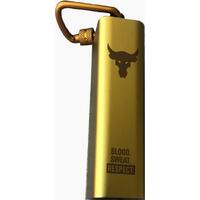 Jbl UA True Wireless Flash