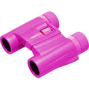 Kenko UltraVIEW Pastel Plus 8x21 DH фото