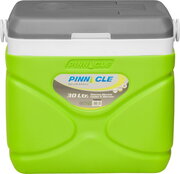 Pinnacle Prudence фото