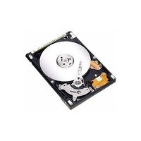 Seagate Momentus 4200.2 ST9120824A 120 GB