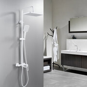 Shevanik S6836C фото