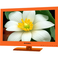 Shivaki STV-24LEDGO9