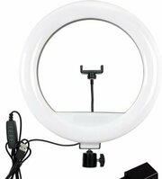 SmartBuy SBL-TTL-14 фото