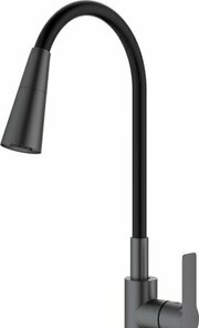 Splenka S06.43.09 фото