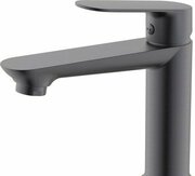 Splenka S41.10.09 фото