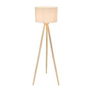 Globo 21515S фото