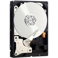 Western Digital RE WD3000FYYZ 3TB
