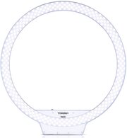 Yongnuo YN308 LED 5500K фото